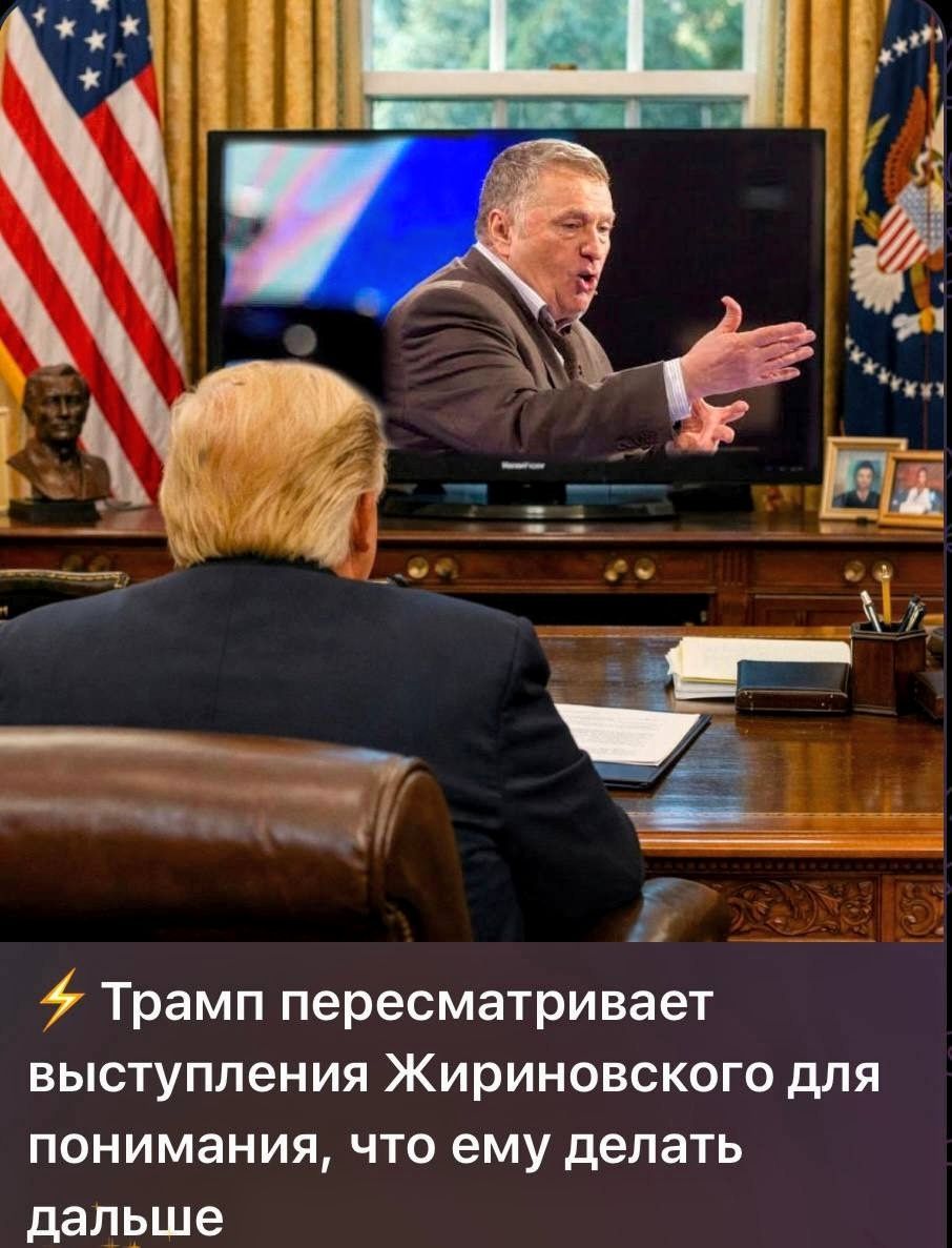 Трамп пересматривает выступления Жириновского для понимания, что ему делать дальше