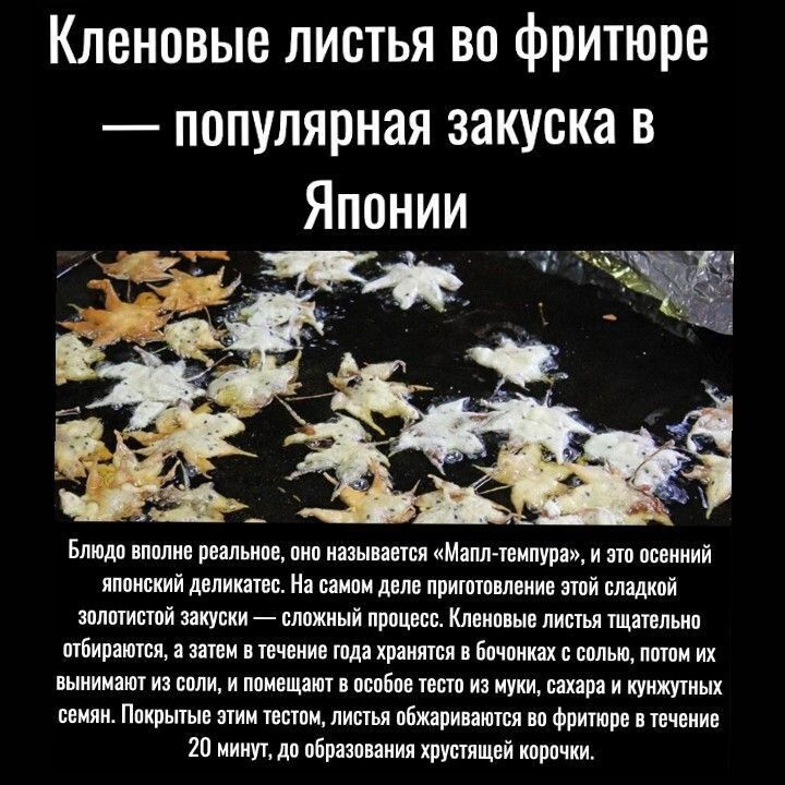 Кленовые листья во фритюре — популярная закуска в Японии. Блюдо вполне реальное, оно называется «Мапл-темпура», и это осенний японский деликатес. На самом деле приготовление этой сладкой золотистой закуски — сложный процесс. Кленовые листья тщательно отбираются, а затем в течение года хранятся в бочонках с солью, потом их вынимают из соли, и