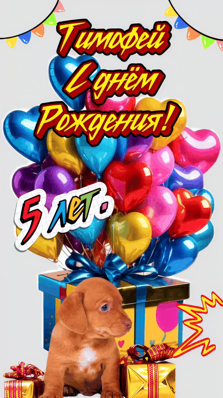 Тимофей с днём рождения! 5 лет