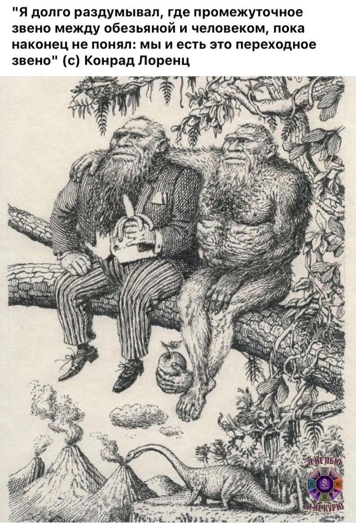 Я долго раздумывал, где промежуточное звено между обезьяной и человеком, пока наконец не понял: мы и есть это переходное звено