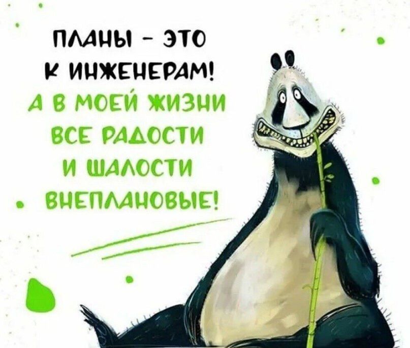 ПЛАНЫ - ЭТО К ИНЖЕНЕРАМ! А В МОЕЙ ЖИЗНИ ВСЕ РАДОСТИ И ШАЛОСТИ ВНЕПЛАНОВЫЕ!