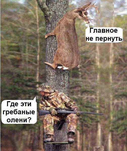 Главное не пернуть. Где эти гребаные олени?
