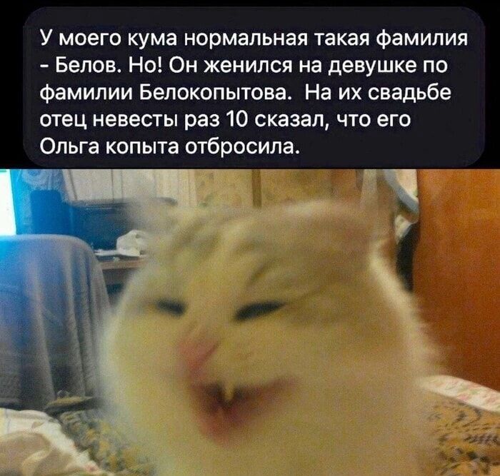 У моего кума нормальная такая фамилия - Белов. Но! Он женился на девушке по фамилии Белокопытова. На их свадьбе отец невесты раз 10 сказал, что его Ольга копыта отбросила.