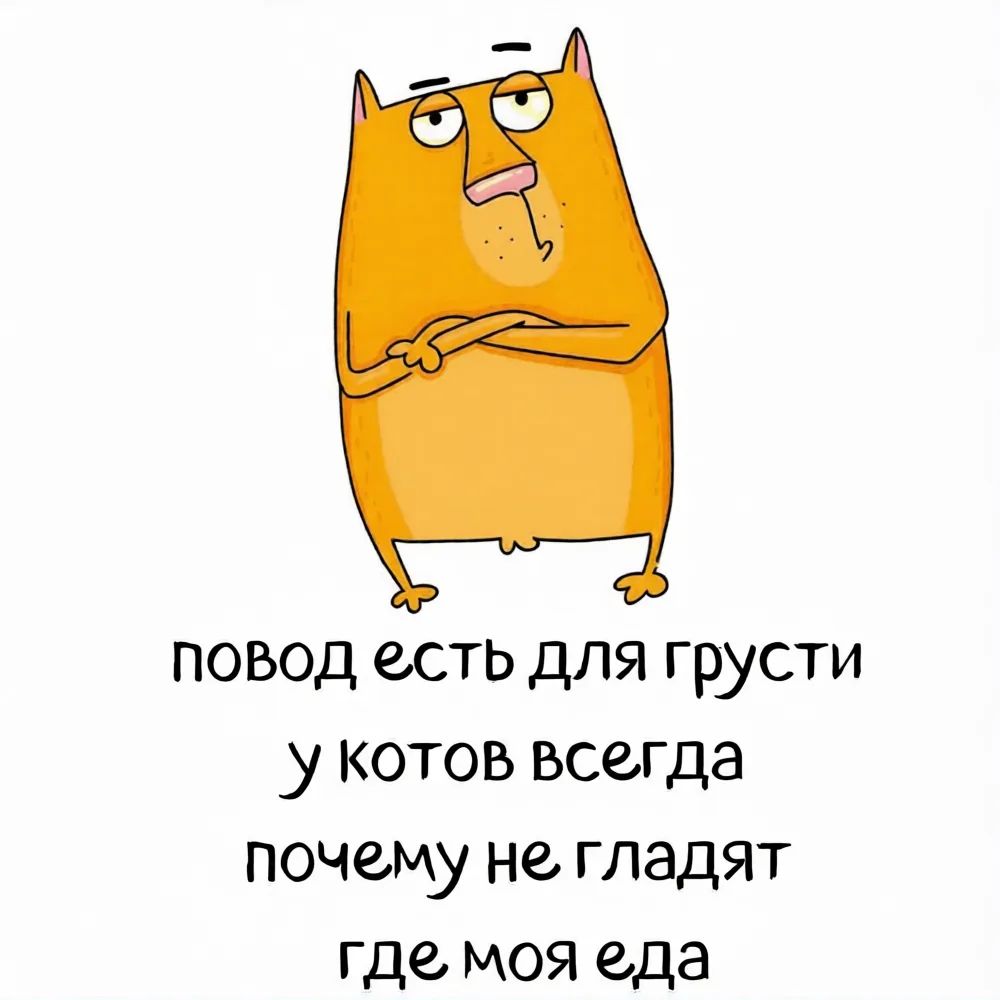 повод есть для грусти у котов всегда почему не гладят где моя еда