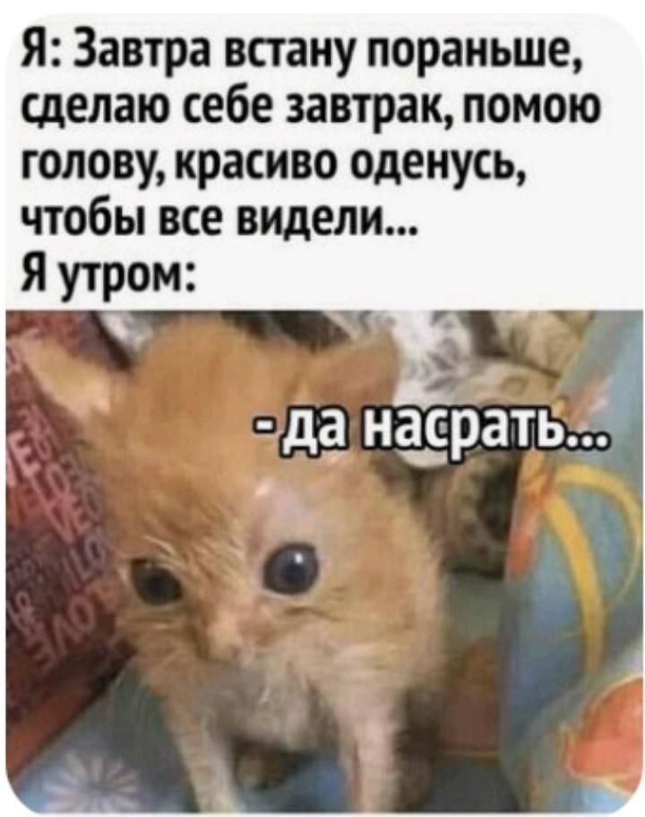 Я: Завтра встану пораньше, сделаю себе завтрак, помою голову, красиво оденусь, чтобы все видели... Я утром: - да насрать...