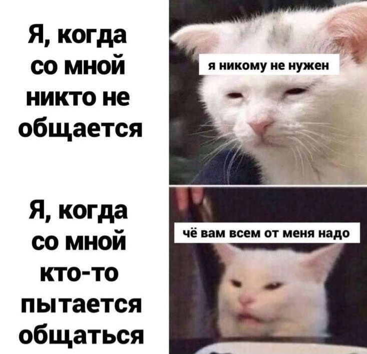 Я, когда со мной никто не общается: я никому не нужен. Я, когда со мной кто-то пытается общаться: чё вам всем от меня надо