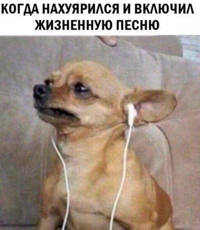 КОГДА НАХУЯРИЛСЯ И ВКЛЮЧИЛ ЖИЗНЕННУЮ ПЕСНЮ