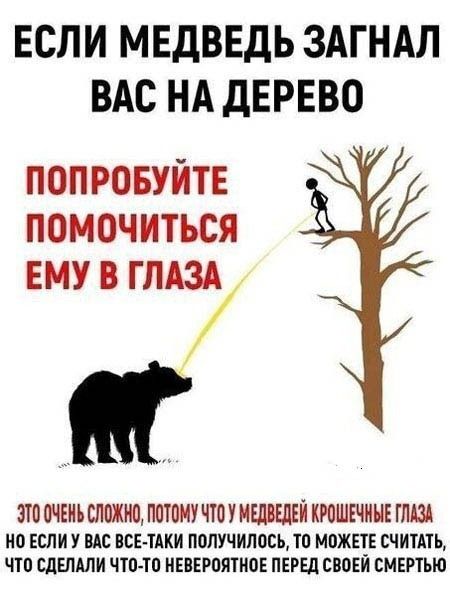 ЕСЛИ МЕДВЕДЬ ЗАГНАЛ ВАС НА ДЕРЕВО ПОПРОБУЙТЕ ПОМОЧИТЬСЯ ЕМУ В ГЛАЗА ЭТО ОЧЕНЬ СЛОЖНО, ПОТОМУ ЧТО У МЕДВЕДЕЙ КРОШЕЧНЫЕ ГЛАЗА НО ЕСЛИ У ВАС ВСЕ-ТАКИ ПОЛУЧИЛОСЬ, ТО МОЖЕТЕ СЧИТАТЬ, ЧТО СДЕЛАЛИ ЧТО-ТО НЕВЕРОЯТНОЕ ПЕРЕД СВОЕЙ СМЕРТЬЮ