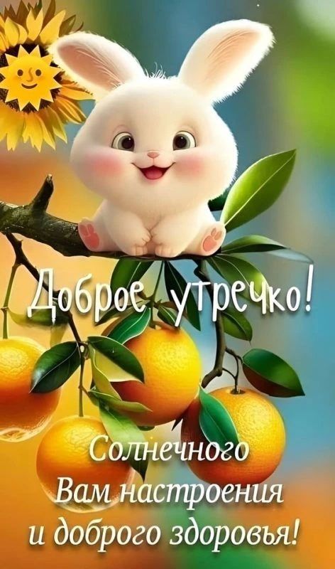 Доброе утречко! Солнечного Вам настроения и доброго здоровья!