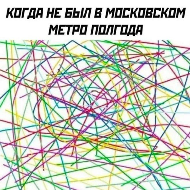 КОГДА НЕ БЫЛ В МОСКОВСКОМ МЕТРО ПОЛГОДА