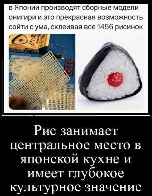 в Японии производят сборные модели онигири и это прекрасная возможность сойти с ума, склеивая все 1456 рисинок. Рис занимает центральное место в японской кухне и имеет глубокое культурное значение