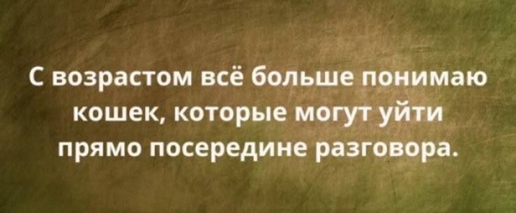 С возрастом всё больше понимаю кошек, которые могут уйти прямо посередине разговора.