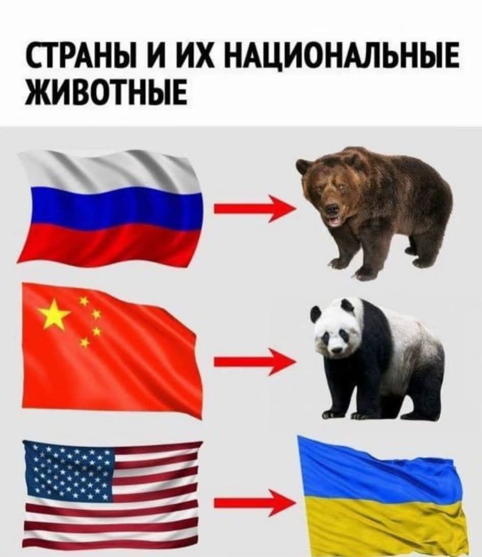 СТРАНЫ И ИХ НАЦИОНАЛЬНЫЕ ЖИВОТНЫЕ. Флаг России -> Медведь. Флаг Китая -> Панда. Флаг США -> Флаг Украины.