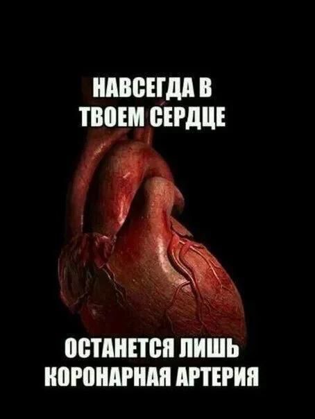 НАВСЕГДА В ТВОЕМ СЕРДЦЕ ОСТАНЕТСЯ ЛИШЬ КОРОНАРНАЯ АРТЕРИЯ