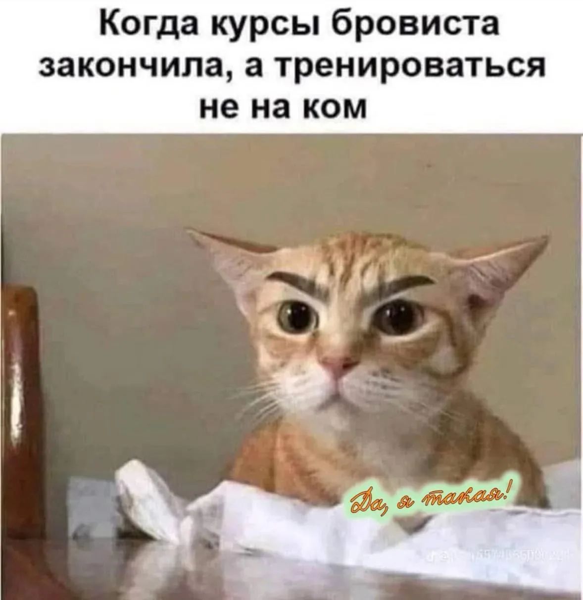 Когда курсы бровиста закончила, а тренироваться не на ком. Да, я такая!