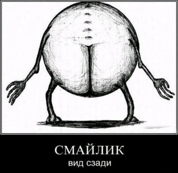 СМАЙЛИК вид сзади