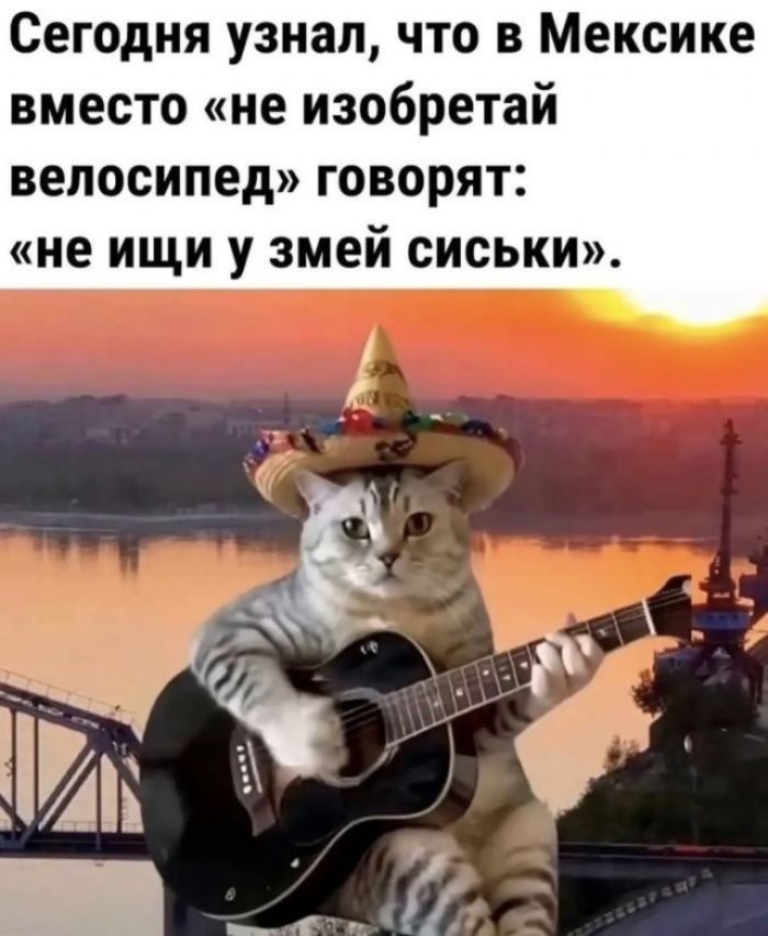 Сегодня узнал, что в Мексике вместо «не изобретай велосипед» говорят: «не ищи у змей сиськи».