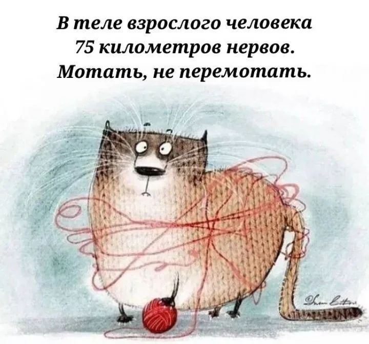 В теле взрослого человека 75 километров нервов. Мотать, не перемотать.