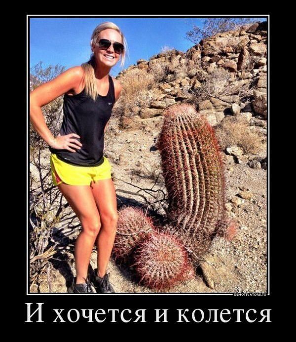 И хочется и колется