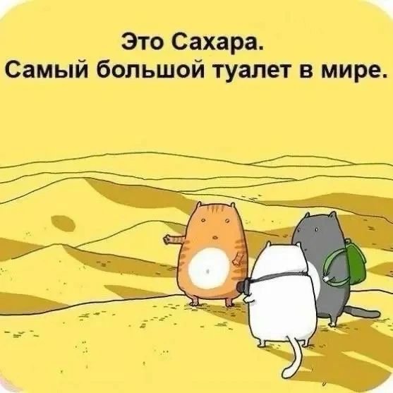 Это Сахара. Самый большой туалет в мире.