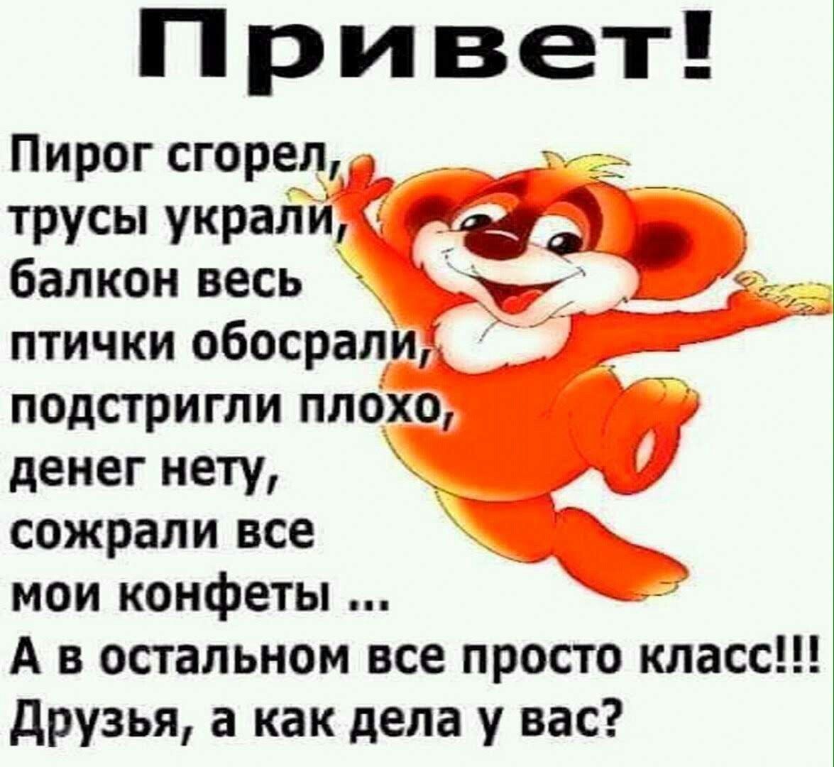 Привет! Пирог сгорел, трусы украли, балкон весь птички обосрали, подстригли плохо, денег нету, сожрали все мои конфеты ... А в остальном все просто класс!!! Друзья, а как дела у вас?