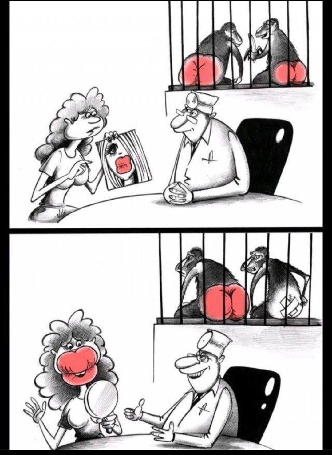 Женщина показывает доктору фотографию с большими губами, как образец. На заднем плане в клетке две обезьяны, у одной ярко-красный зад. Во второй части комикса женщина сидит с огромными губами, похожими на зад обезьяны, смотрит в зеркало и довольна. Доктор показывает большой палец вверх. Обезьяна с красным задом смотрит на другую обезьяну, у