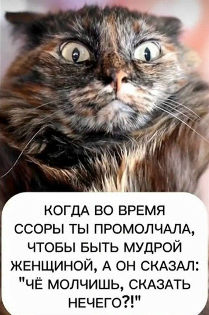 КОГДА ВО ВРЕМЯ ССОРЫ ТЫ ПРОМОЛЧАЛА, ЧТОБЫ БЫТЬ МУДРОЙ ЖЕНЩИНОЙ, А ОН СКАЗАЛ: 