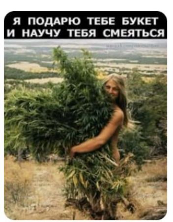Я ПОДАРЮ ТЕБЕ БУКЕТ И НАУЧУ ТЕБЯ СМЕЯТЬСЯ