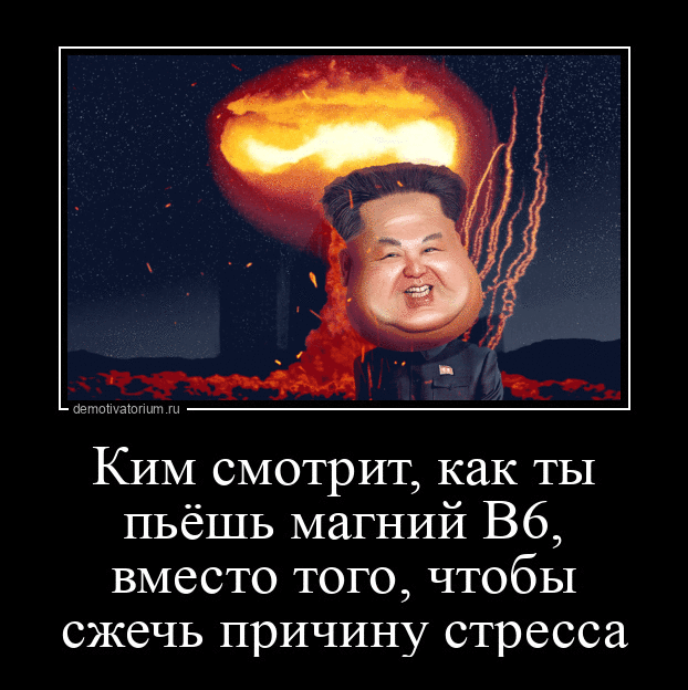 demotivatorium.ru Ким смотрит, как ты пьёшь магний В6, вместо того, чтобы сжечь причину стресса
