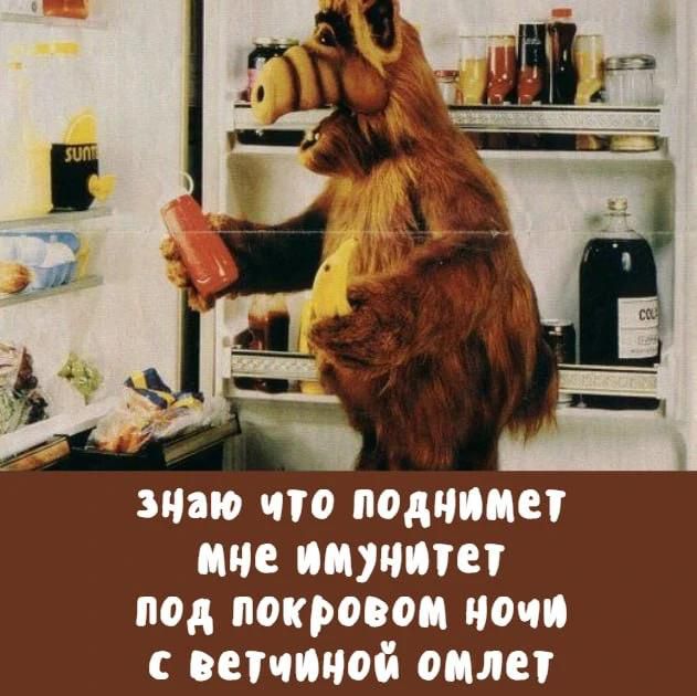 знаю что поднимет мне имунитет под покровом ночи с ветчиной омлет