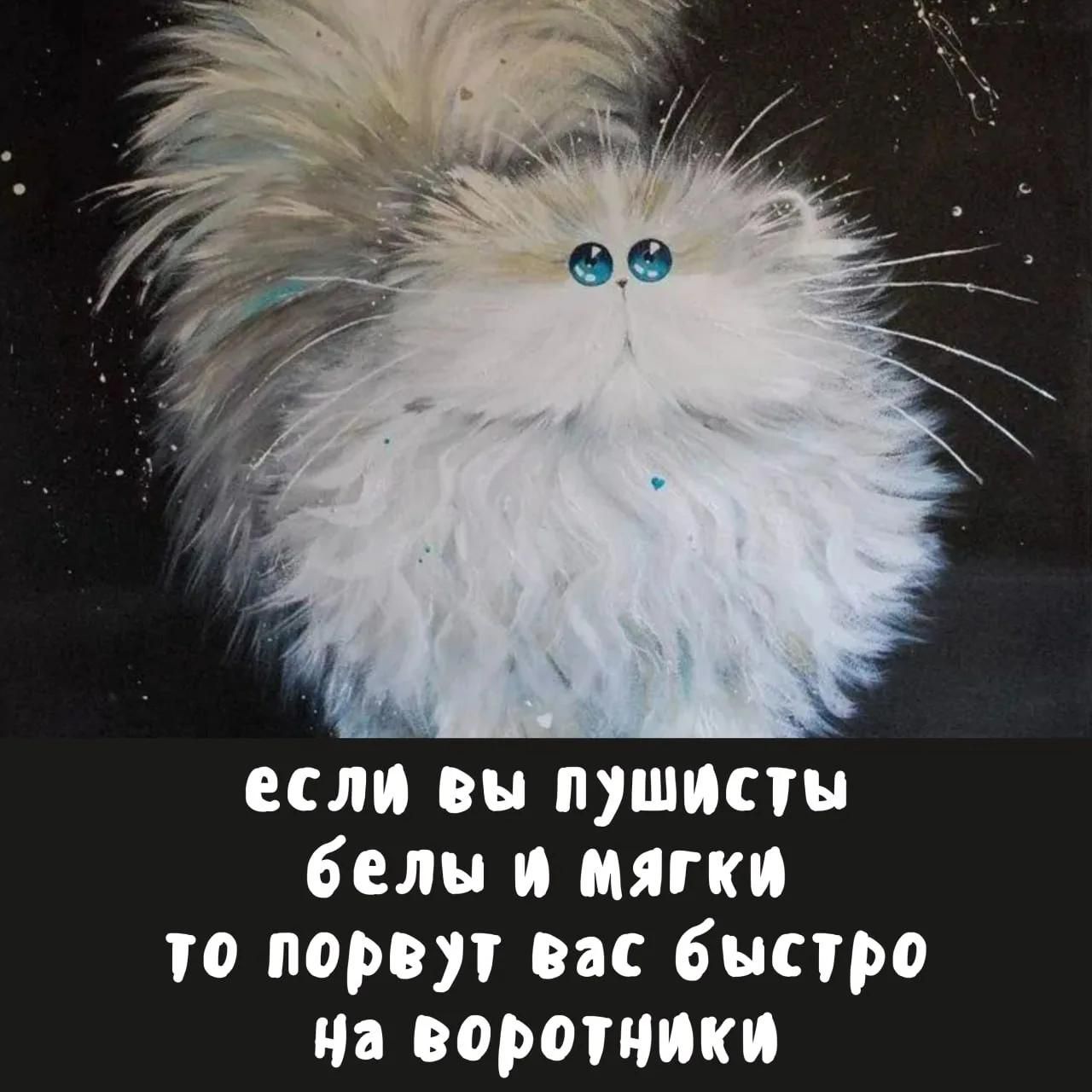если вы пушисты белы и мягки то порвут вас быстро на воротники