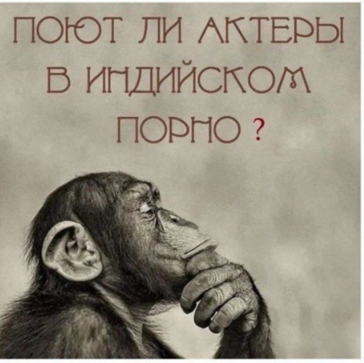 ПОЮТ ЛИ АКТЕРЫ В ИНДИЙСКОМ ПОРНО ?