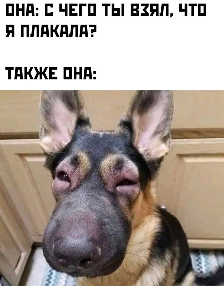 ОНА: С ЧЕГО ТЫ ВЗЯЛ, ЧТО Я ПЛАКАЛА? ТАКЖЕ ОНА: