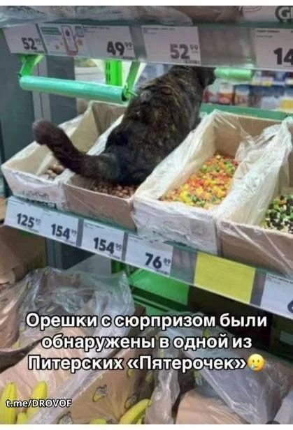 Орешки с сюрпризом были обнаружены в одной из Питерских «Пятерочек» 😮