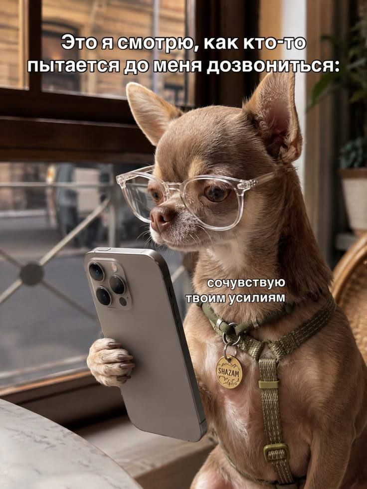 Это я смотрю, как кто-то пытается до меня дозвониться: сочувствую твоим усилиям