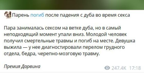 Парень погиб после падения с дуба во время секса
Пара занималась сексом на ветке дуба, но в самый неподходящий момент упали вниз. Молодой человек получил смертельные травмы и погиб на месте. Девушка выжила — у нее диагностировали перелом грудного отдела, бедра, черепно-мозговую травму.
Премия Дарвина