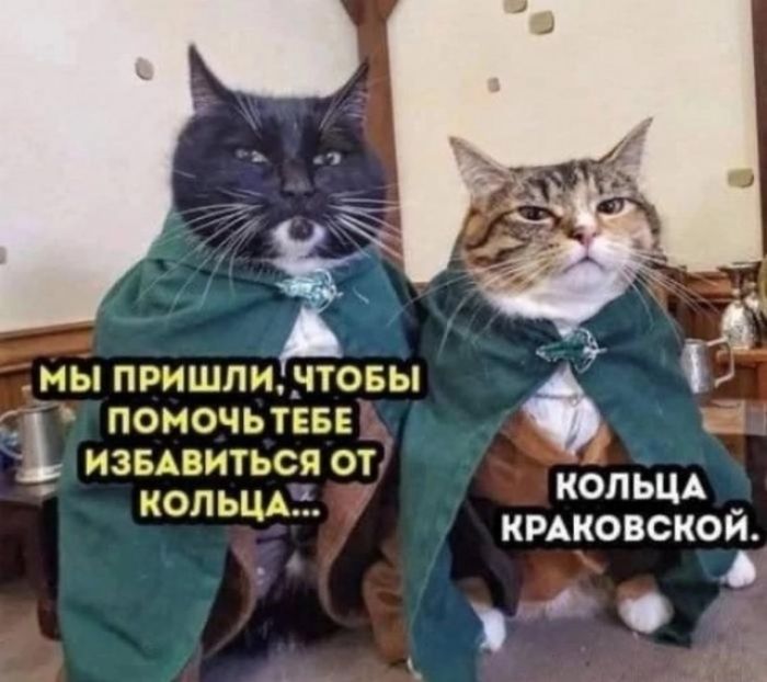 МЫ ПРИШЛИ, ЧТОБЫ ПОМОЧЬ ТЕБЕ ИЗБАВИТЬСЯ ОТ КОЛЬЦА... КОЛЬЦА КРАКОВСКОЙ.