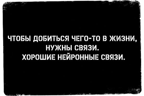 Чтобы добиться чего-то в жизни, нужны связи. Хорошие нейронные связи.