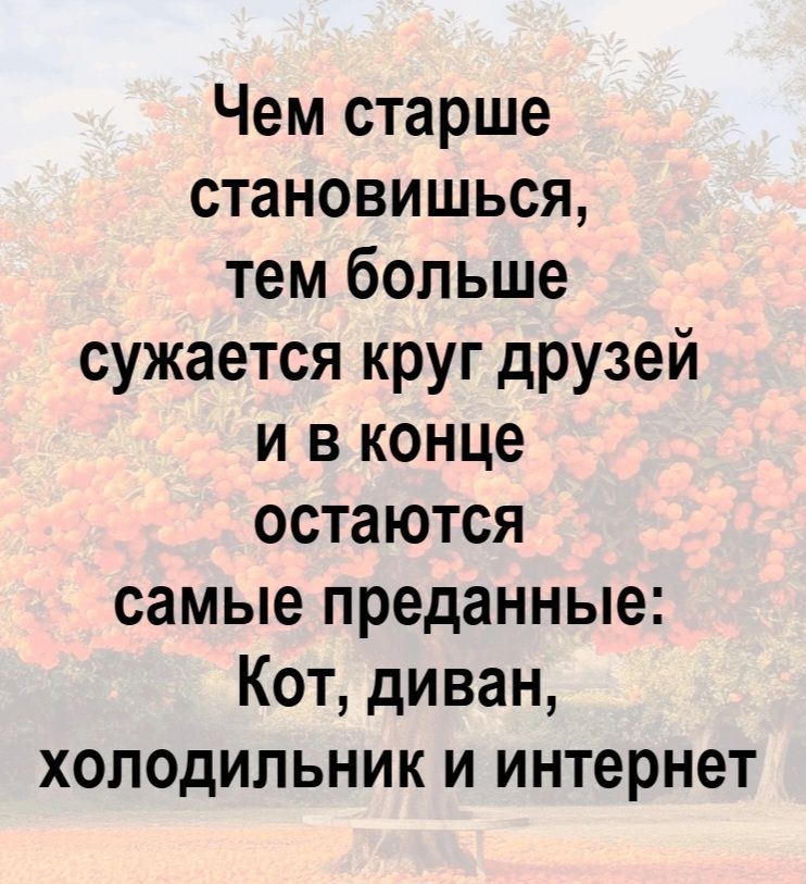 Чем старше становишься, тем больше сужается круг друзей и в конце остаются самые преданные: Кот, диван, холодильник и интернет