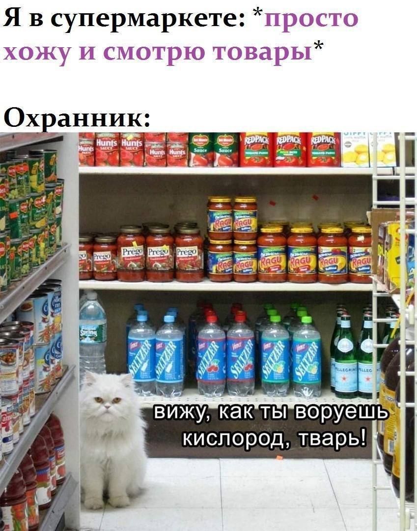 Я в супермаркете: *просто хожу и смотрю товары* Охранник: вижу, как ты воруешь кислород, тварь!
