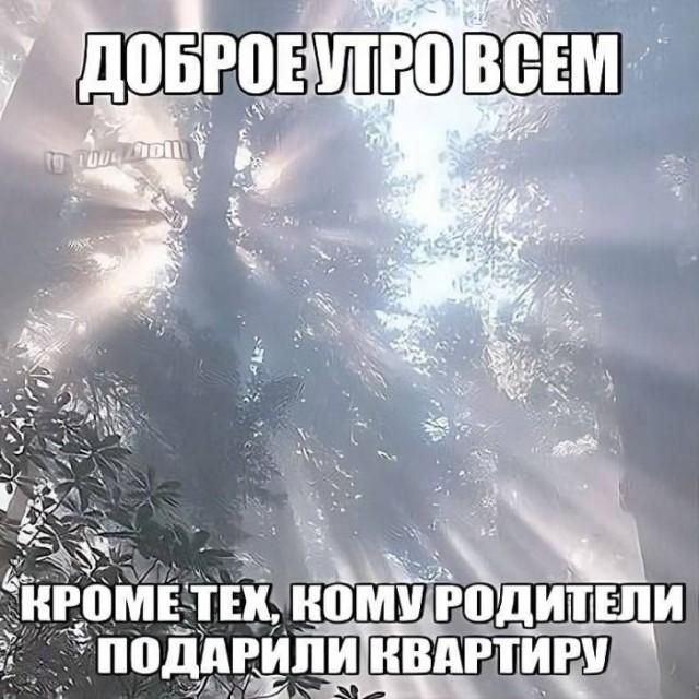 ДОБРОЕ УТРО ВСЕМ КРОМЕ ТЕХ, КОМУ РОДИТЕЛИ ПОДАРИЛИ КВАРТИРУ