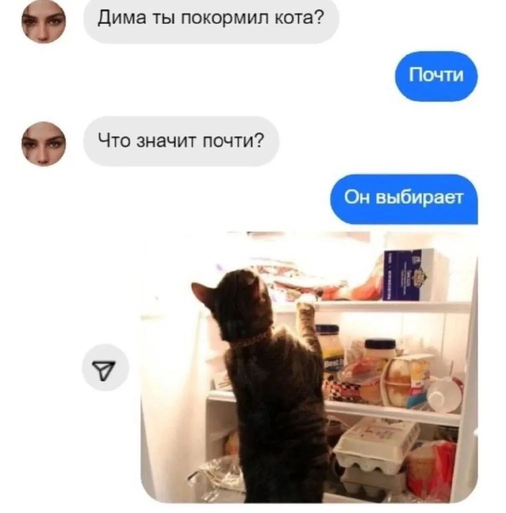 Дима ты покормил кота? Почти. Что значит почти? Он выбирает.