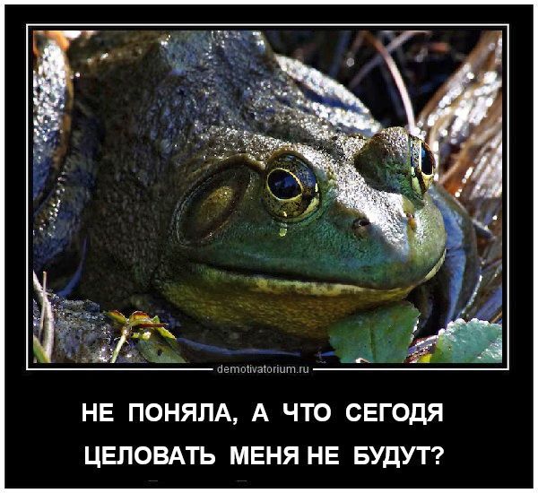 НЕ ПОНЯЛА, А ЧТО СЕГОДНЯ ЦЕЛОВАТЬ МЕНЯ НЕ БУДУТ?