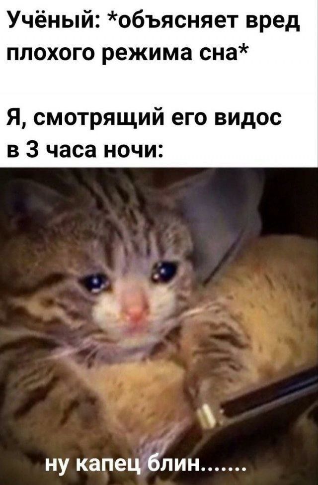 Учёный: объясняет вред плохого режима сна. Я, смотрящий его видос в 3 часа ночи: ну капец блин........