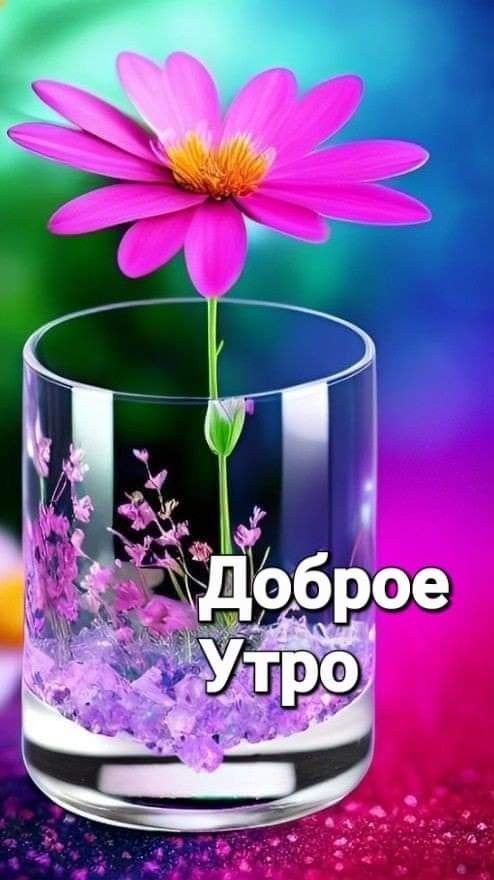 Доброе Утро