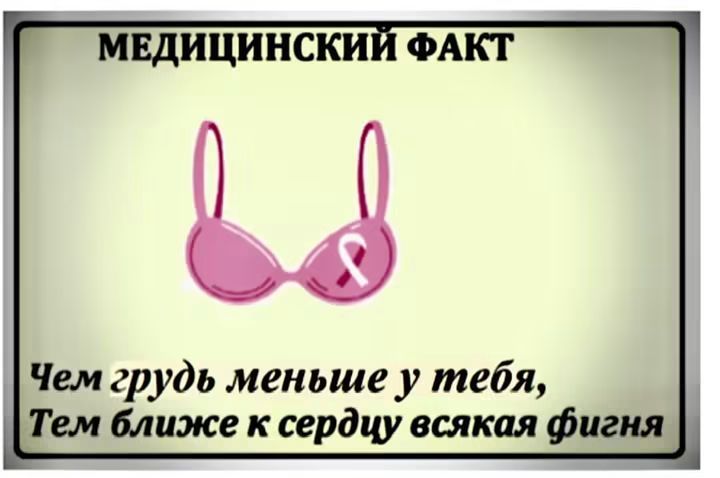 МЕДИЦИНСКИЙ ФАКТ Чем грудь меньше у тебя, Тем ближе к сердцу всякая фигня