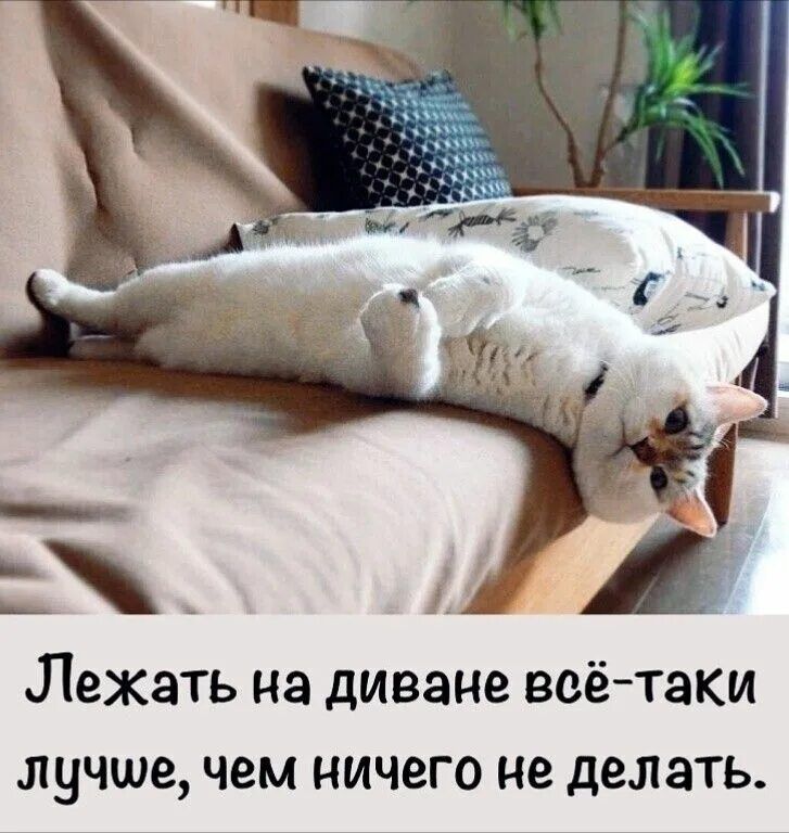 Лежать на диване всё-таки лучше, чем ничего не делать.