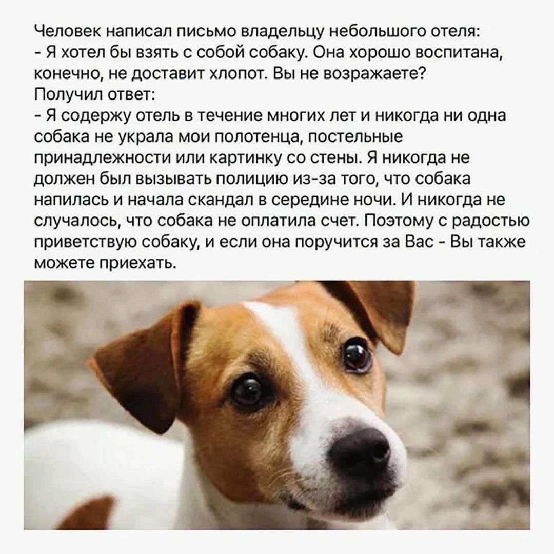 Человек написал письмо владельцу небольшого отеля: - Я хотел бы взять с собой собаку. Она хорошо воспитана, конечно, не доставит хлопот. Вы не возражаете? Получил ответ: - Я содержаю отель в течение многих лет и никогда ни одна собака не украла мои полотенца, постельные принадлежности или картинку со стены. Я никогда не должен был вызывать полицию