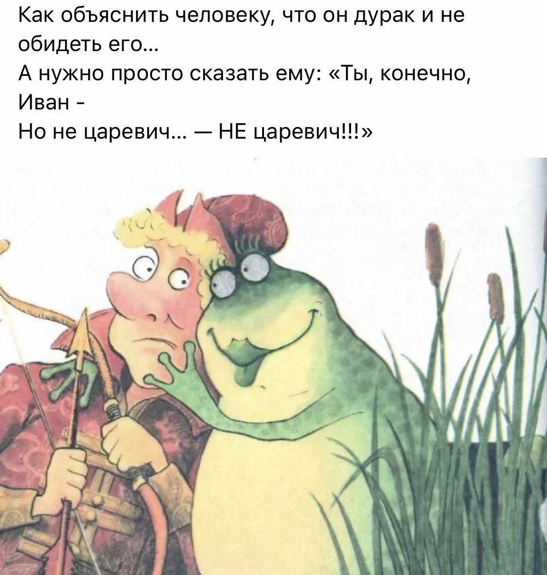 Как объяснить человеку, что он дурак и не обидеть его... А нужно просто сказать ему: «Ты, конечно, Иван - Но не царевич... — НЕ царевич!!!»