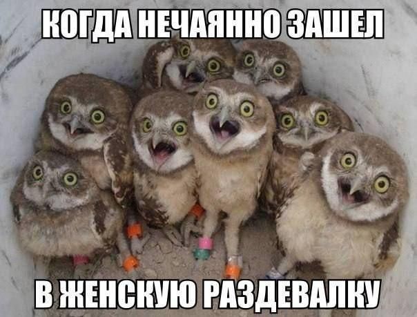 КОГДА НЕЧАЯННО ЗАШЕЛ В ЖЕНСКУЮ РАЗДЕВАЛКУ